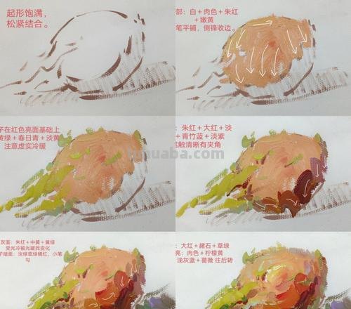色彩火龙果的调色方法，让你的绘画更加生动立体！ 