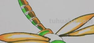 蜻蜓用彩铅怎么画 蜻蜓怎么画好看？