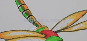 蜻蜓用彩铅怎么画 蜻蜓怎么画好看？