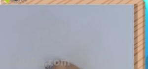 蜻蜓用彩铅怎么画 蜻蜓怎么画好看？