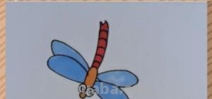 蜻蜓用彩铅怎么画 蜻蜓怎么画好看？