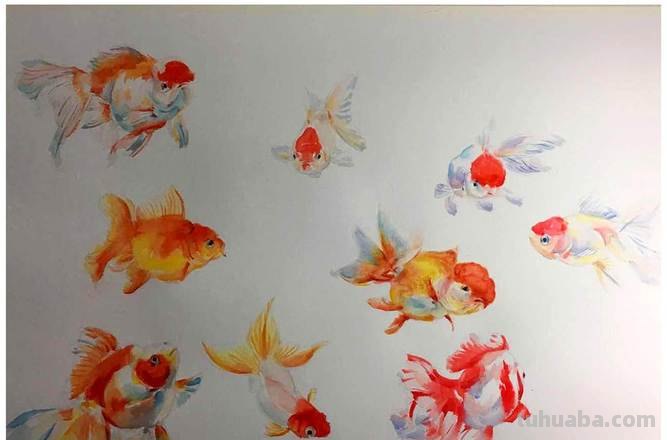金鱼的色彩及金鱼的色彩搭配 