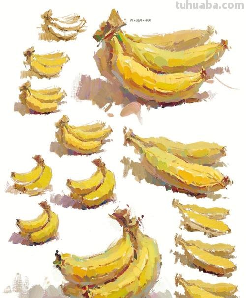 探索色彩水果单个及色彩水果单个图片的奥秘 