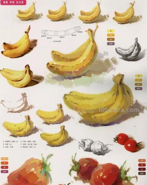 探索色彩水果单个及色彩水果单个图片的奥秘 