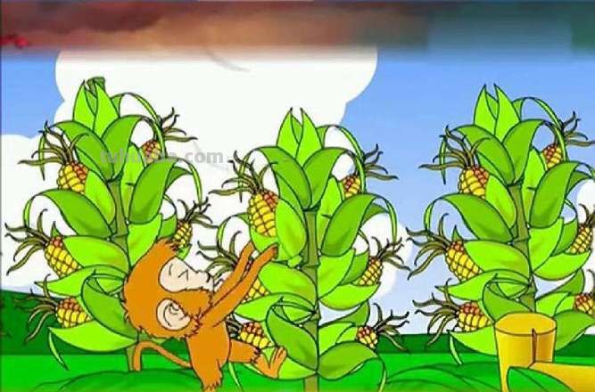 猴子掰玉米的故事告诉什么道理 猴子掰玉米的故事告诉什么道理一年级