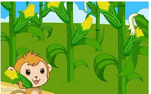 《猴子掰玉米》的故事告诉我们什么道理?