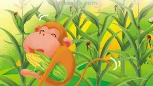 猴子掰玉米的故事告诉什么道理 猴子掰玉米的故事告诉什么道理一年级