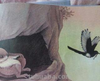 寒号鸟怎么画简笔画 寒号鸟和喜鹊的家各自在什么地方?怎么把它们画出来?