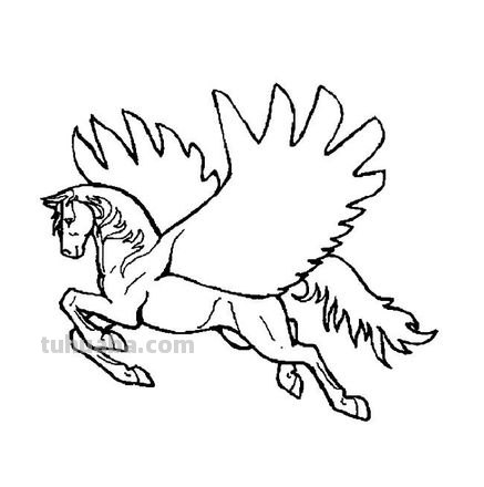 飞马怎么画简笔画 如何简单画马？