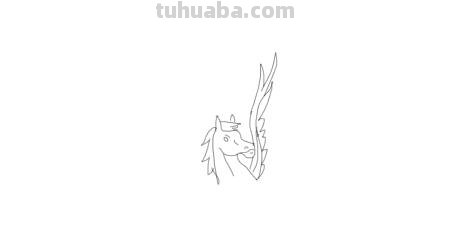 飞马怎么画简笔画 如何简单画马? 飞马怎么画简笔画 如何简单画马?
