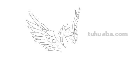 飞马怎么画简笔画 如何简单画马? 飞马怎么画简笔画 如何简单画马?