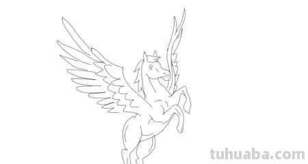 飞马怎么画简笔画 如何简单画马? 飞马怎么画简笔画 如何简单画马?