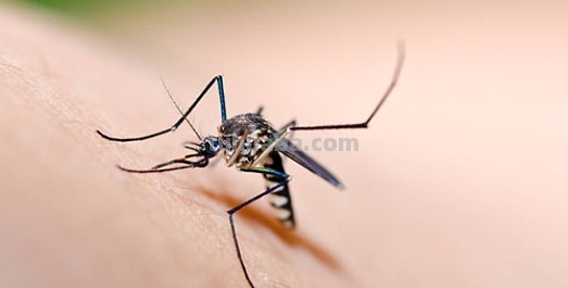 3～6岁儿童笑话