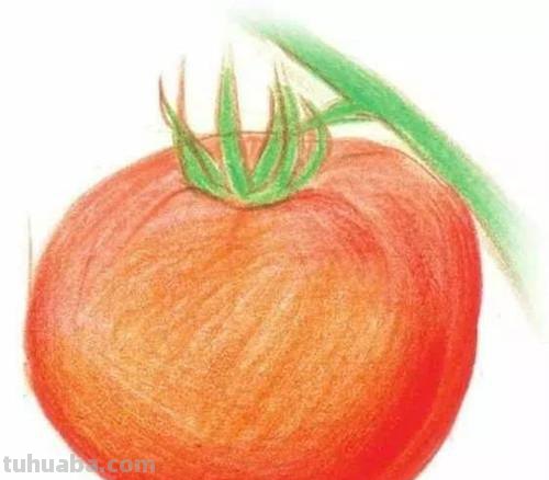 如何画出色彩丰富的番茄？ 