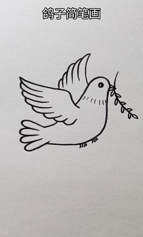 白鸽怎么画简笔画步骤 鸽子怎么画？