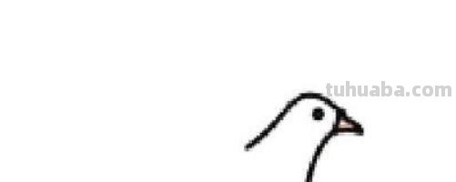 白鸽怎么画简笔画步骤 鸽子怎么画？