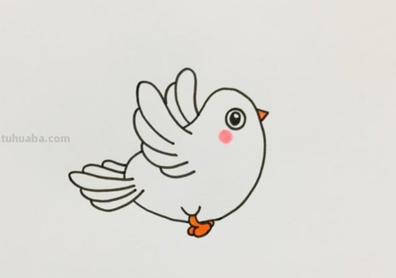 白鸽怎么画简笔画步骤 鸽子怎么画？