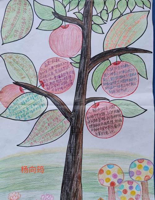 怎么制作思维导图数学 数学思维导图怎么画？