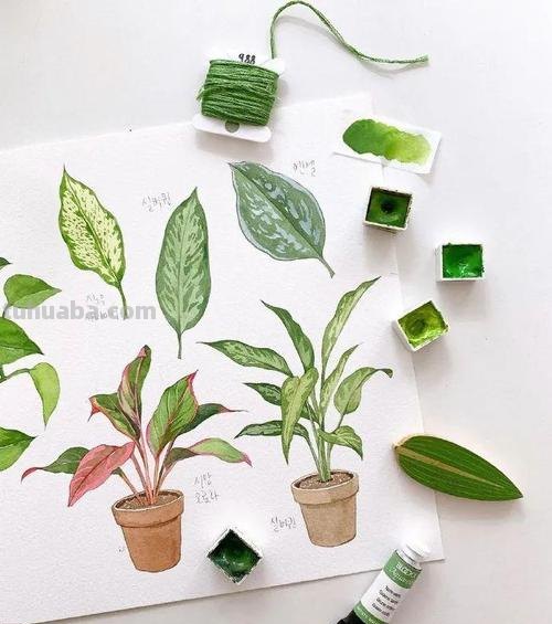 色彩植物画——让你的绘画充满生机 