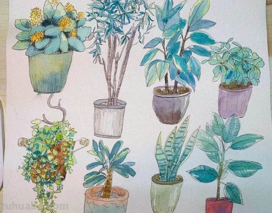 色彩植物画——让你的绘画充满生机 