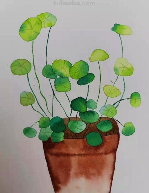 色彩植物画——让你的绘画充满生机 