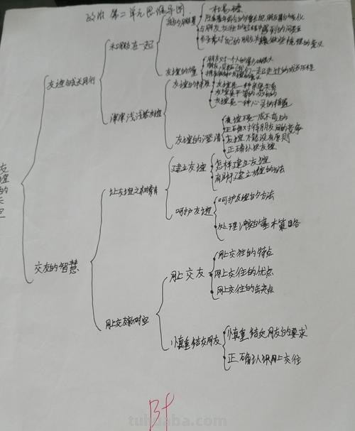 思维导图背景是什么 七年级下册政治第二单元思维导图怎么画啊?