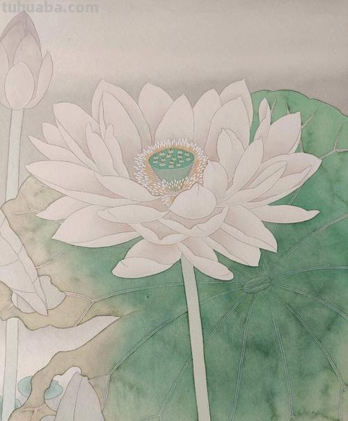 工笔画色彩及工笔画色彩的运用