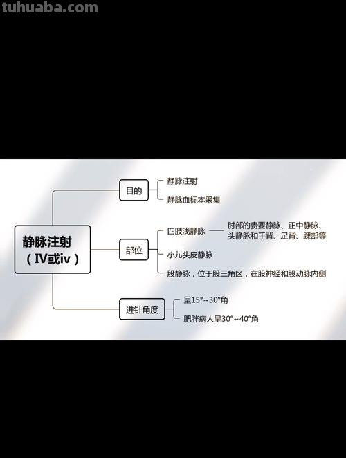 打针思维导图怎么画 怎样画思维导图？