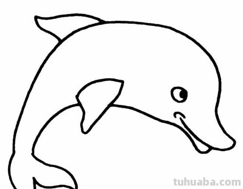 海底动物怎么画简笔画 如何画海豚的简笔画？
