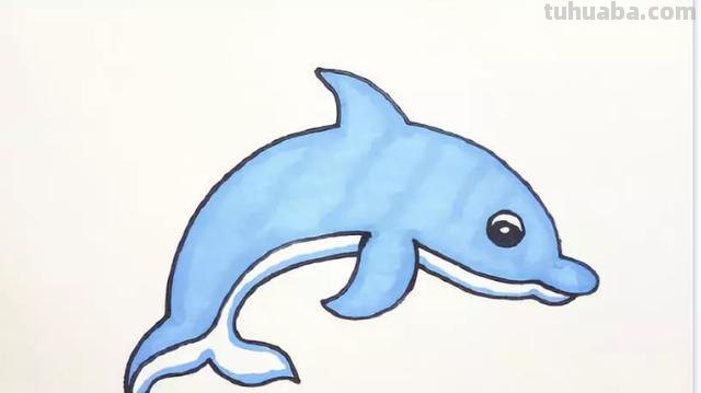 海底动物怎么画简笔画 如何画海豚的简笔画？