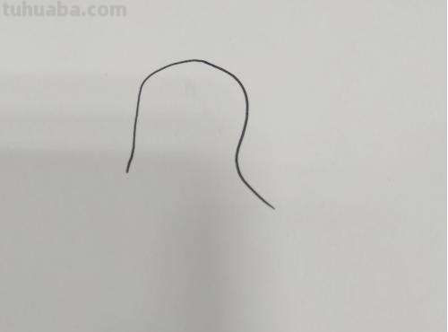 海底动物怎么画简笔画 如何画海豚的简笔画？