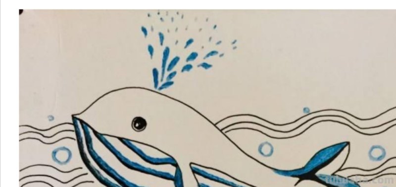 海底动物怎么画简笔画 如何画海豚的简笔画？