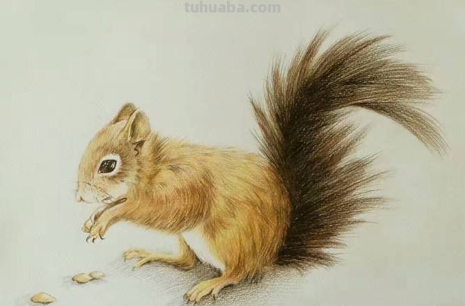 多莉彩铅怎么画 水溶性彩铅怎样作画？