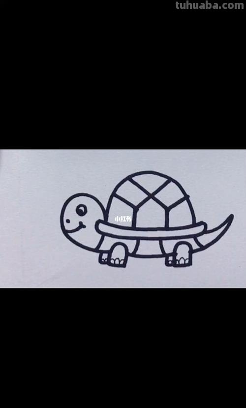 小乌龟怎么画简笔画 1-3岁儿童简单画画小乌龟？