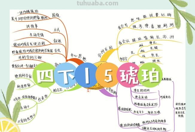 思维导图琥珀怎么写 四年级下册第五课琥珀的主题思想怎么写？