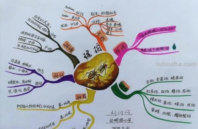 思维导图琥珀怎么写 四年级下册第五课琥珀的主题思想怎么写？