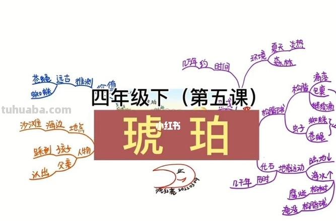 思维导图琥珀怎么写 四年级下册第五课琥珀的主题思想怎么写？