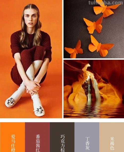 色彩配色设计及色彩配色设计图片：打造独特的色彩搭配 