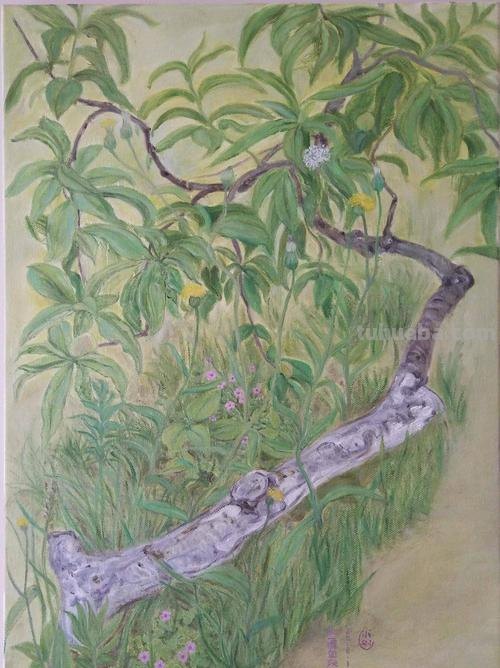 桃树油性彩铅怎么画 油性彩铅上色技巧？