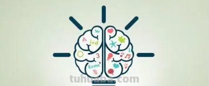 在义务教育阶段,数学思维主要表现为