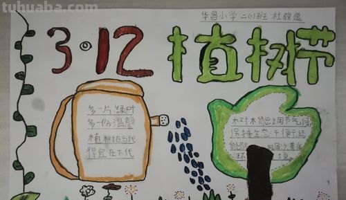 植树手抄报怎么写 关于小记者植树节手抄报内容?