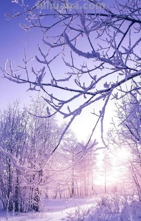 冬季色彩型及冬季色彩包括:寒冷气息中的美丽