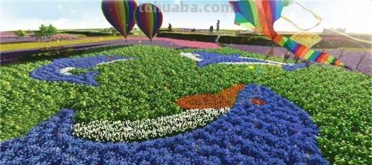 花设计色彩与花设计色彩图片 - 打造多彩花海的秘诀