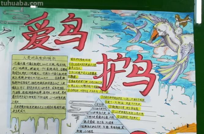 手抄报鸟怎么画 怎么样画鸟好看？