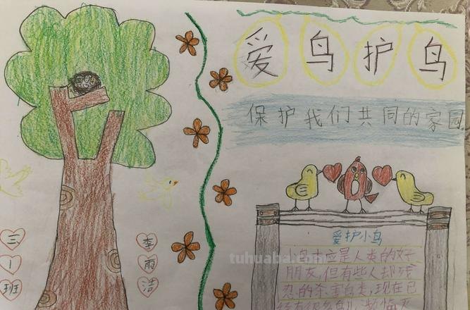 手抄报鸟怎么画 怎么样画鸟好看?