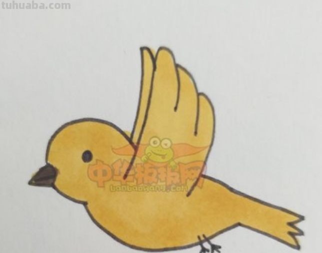 手抄报鸟怎么画 怎么样画鸟好看? 手抄报鸟怎么画 怎么样画鸟好看?
