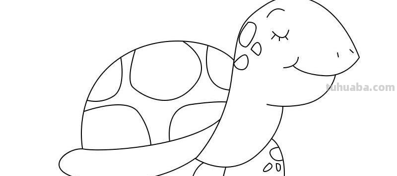 乌龟的简笔画怎么画 儿童画真实小动物超简单？