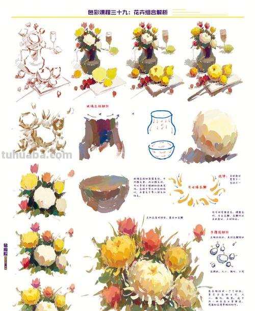 画色彩的步骤及画色彩的步骤讲解 