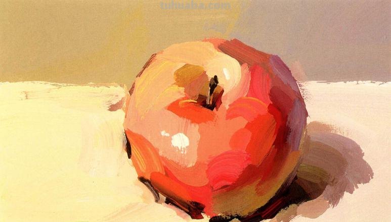 画色彩的步骤及画色彩的步骤讲解