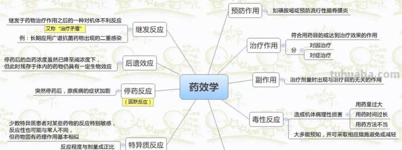 药品思维导图怎么画 如何画思维导图?